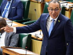 8,000-jamaicans-to-get-help-under-second-chance-smile-programme-this-year