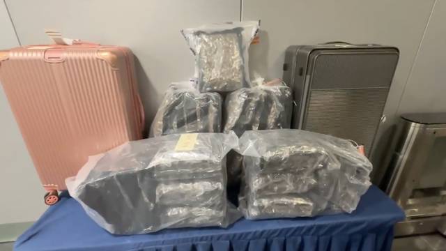 直放行李不掩飾帶貨入境-警機場拘兩「飛天豬」檢24公斤懷疑大麻花