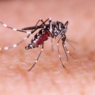 meeting-discusses-anti-dengue-measures