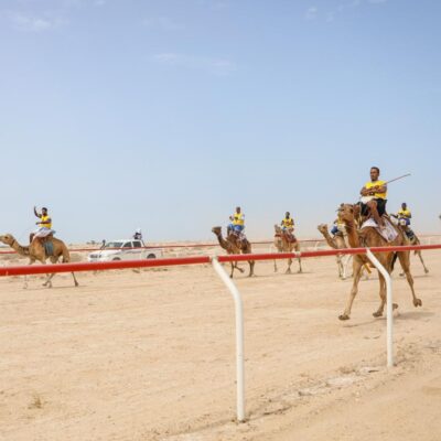 تدشين-أول-مضمار-لسباقات-الإبل-في-نواكشوط