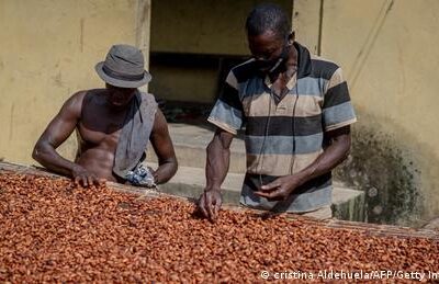wie-kann-ghana-von-teurem-kakao-profitieren?