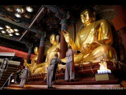 buddha’s-birthday:-when-is-it-and-how-is-it-celebrated-in-different-countries?