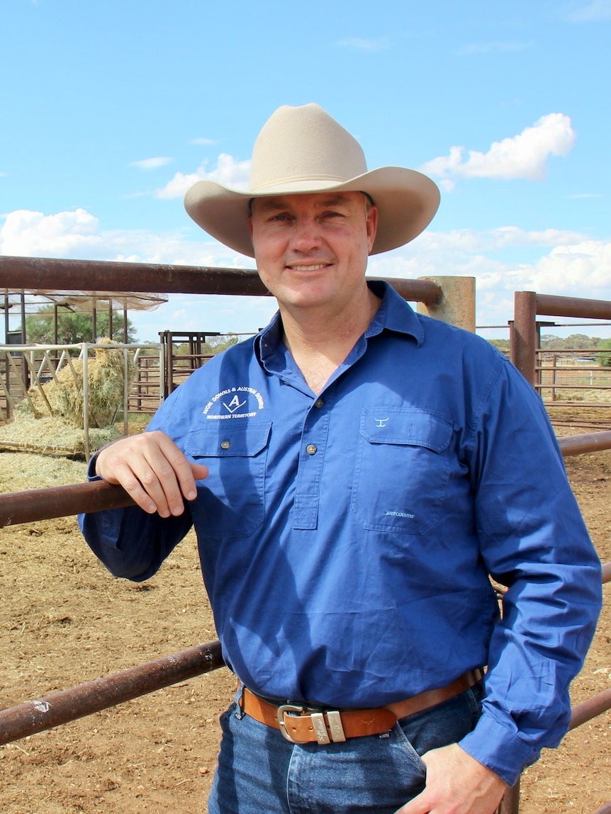 australia’s-largest-cattle-company’s-herd-grows-but-its-value-drops-nearly-$150-million