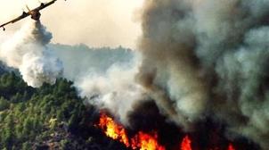 انخفاض-ملموس-في-المساحات-الغابوية-المتضررة-من-الحرائق-سنة-2023-(الوكالة-الوطنية-للمياه-والغابات)