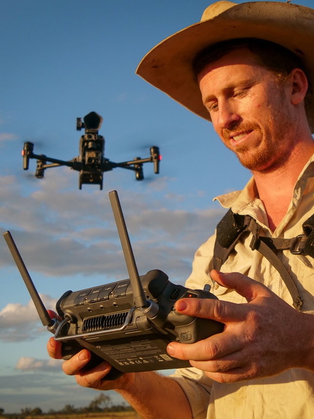 outback-cattle-mustered-by-‘game-changer’-drone-tech-controlled-from-hundreds-of-kilometres-away