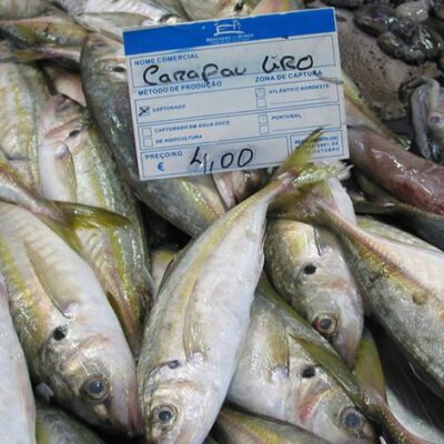 portugal-esgota-quota-da-pesca-do-carapau-esta-terca-feira