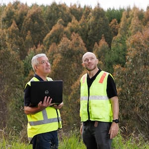 fast-forestry:-bioenergy-production-could-transform-northland’s-economy