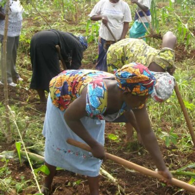 ogun-supports-8,800-farmers-through-fadama-scheme