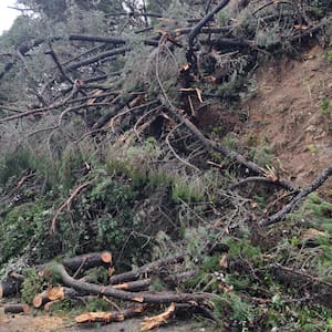 thames-coast-highway-partly-reopens-as-slips-and-fallen-trees-cleared