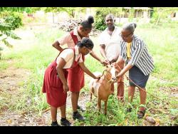 newell-high-school-nurtures-next-generation-of-farmers