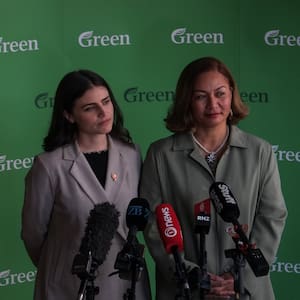 green-party-to-hold-press-conference-about-personal-and-sensitive-matter