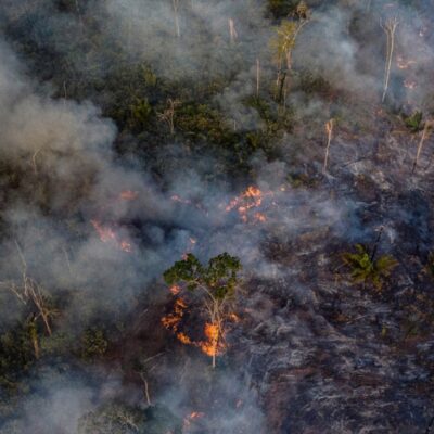 julho-tem-recorde-de-queimadas-na-amazonia,-com-11,4-mil-registros