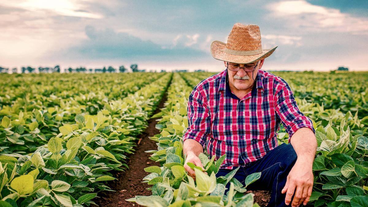 emprendedores-participaran-de-manera-gratuita-en-la-feria-nacional-de-la-agricultura-en-palmira