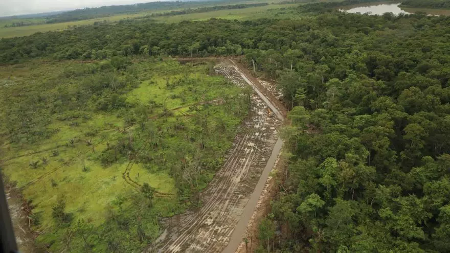 miambiente-interpone-denuncia-por-posibles-danos-ambientales-en-humedales-y-bosques-de-darien