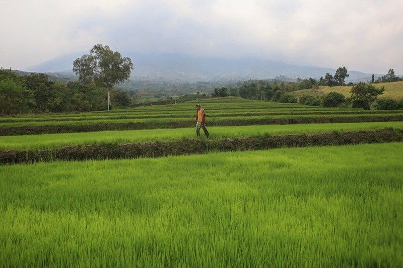 live-updates:-kanlaon-volcano-restiveness