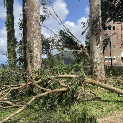 el-servicio-forestal-anuncia-la-reapertura-parcial-del-bosque-nacional-el-yunque-tras-el-paso-de-la-tormenta-ernesto