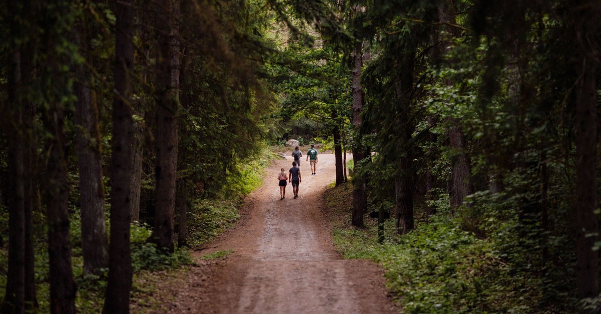 grazutes-regioniniame-parke-atidaromas-11-kilometru-pesciuju-takas