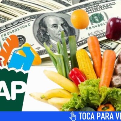 dias-de-pago-del-snap-en-cada-estado-en-septiembre