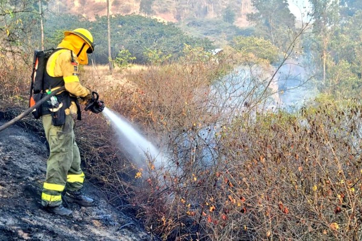 bomberos-se-mantienen-en-los-tres-incendios-forestales-de-quito