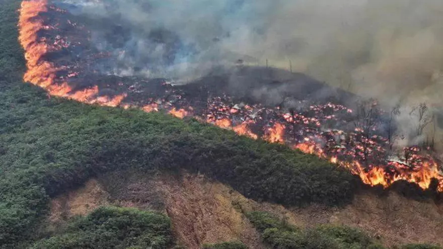 un-incendio-forestal-desata-alarma-en-turistica-loma-de-quito