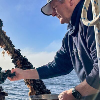 from-fish-bait-to-fine-dining-—-now-mussel-farming-is-cleaning-up-port-phillip-bay