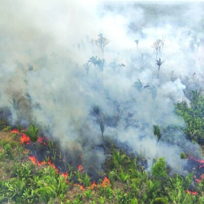 south-america-surpasses-record-for-forest-fires