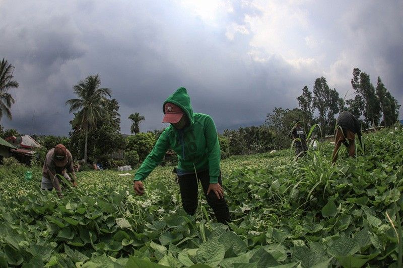 live-updates:-kanlaon-volcano-restiveness