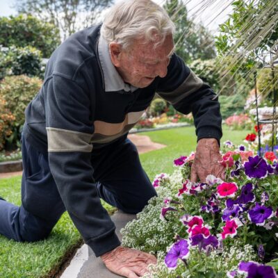 95-year-old-keeps-garden-dream-alive-as-flower-festival-gets-underway-after-beloved-wife’s-passing