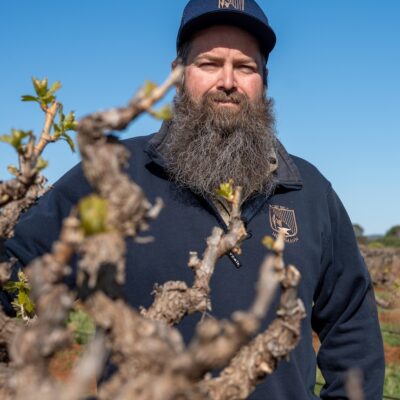 grape-growers-are-reeling-from-crop-losses-from-frost-—-but-how-will-the-wine-be-impacted?