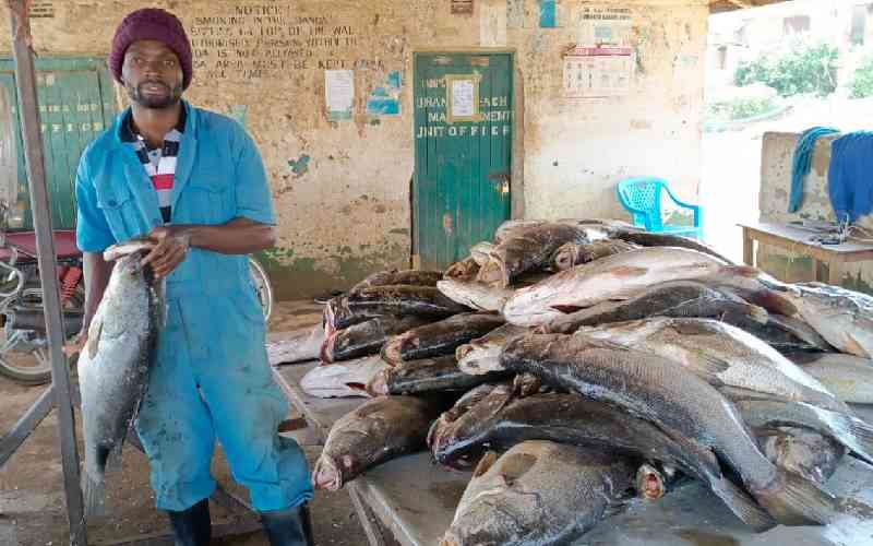 gold-rush:-how-illegal-gallbladder-trade-threatens-lake-victoria-fishers