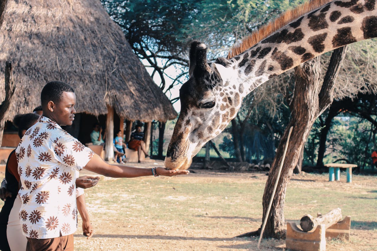 quanto-costa-un-viaggio-in-kenya-e-fare-un-safari-li?-eccolo-svelato