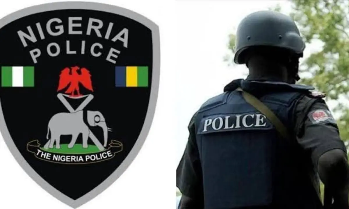 police-recover-20-ak-47-rifles-from-gunrunner-in-kaduna