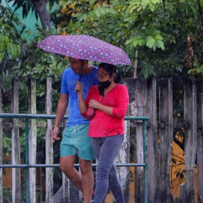 en-video:-reportan-caida-de-un-arbol-tras-fuerte-aguacero-en-barranquilla-y-en-municipios-de-atlantico