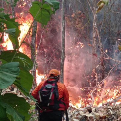 en-colombia-29-incendios-forestales-siguen-activos:-tolima-y-cauca,-los-departamentos-mas-afectados