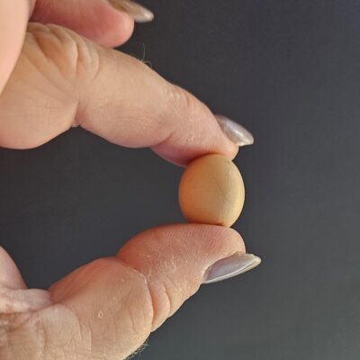 couple-find-rare-and-tiny-‘egg-inside-an-egg’-while-making-breakfast