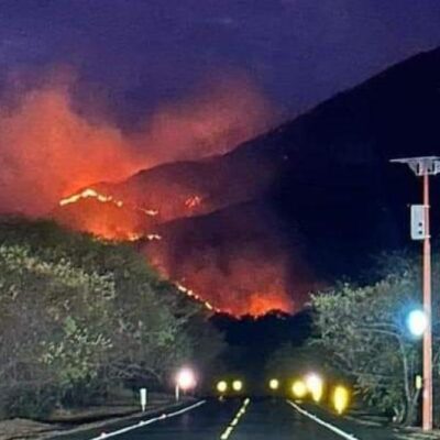 la-crisis-que-atraviesa-tolima-por-cuenta-de-los-incendios-forestales:-‘las-capacidades-del-departamento-son-muy-limitadas’