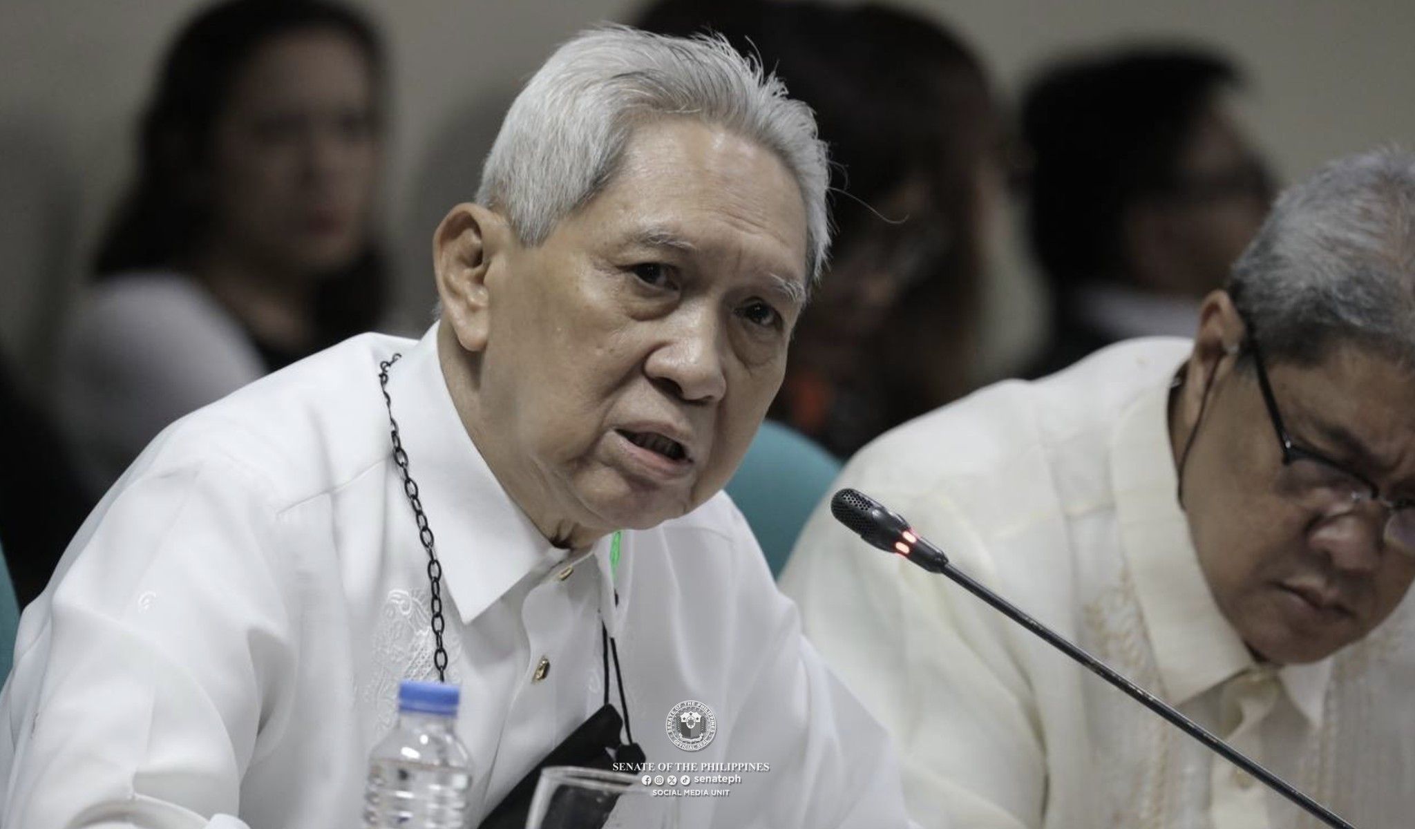 courts-junking-ombudsman-cases-to-clear-up-dockets,-says-martires