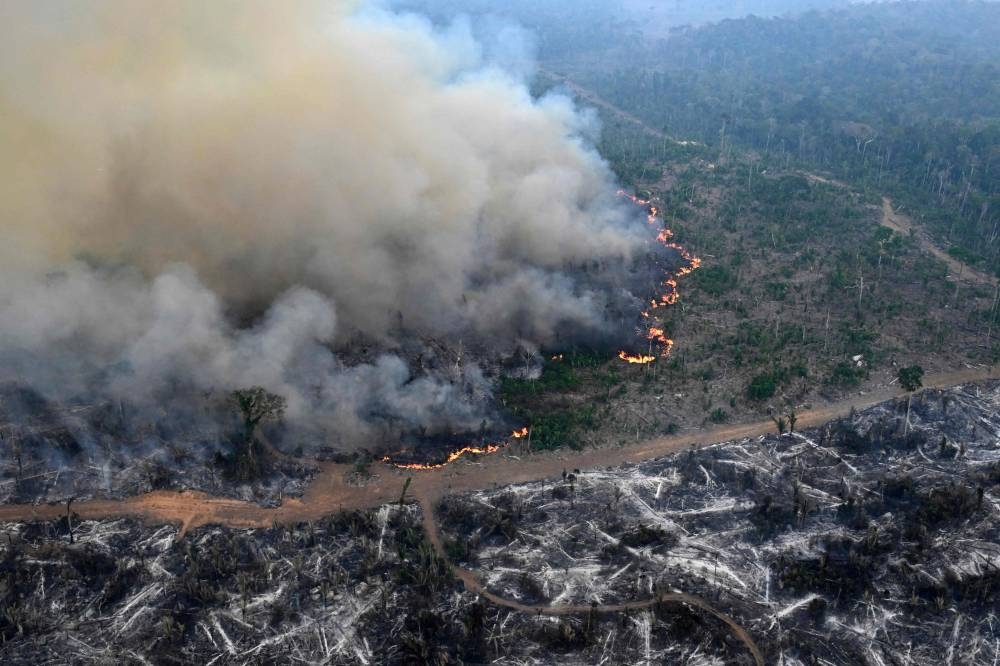 amazon-forest-has-lost-an-area-the-size-of-germany-and-france