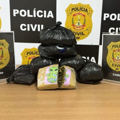 pcdf-intercepta-r$-100-mil-de-maconha-tipo-skunk.-veja-video