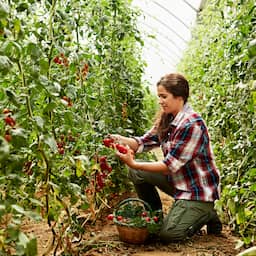 nu+-|-minder-pesticiden-en-meer-dierenwelzijn:-is-biologisch-eten-echt-gezonder?