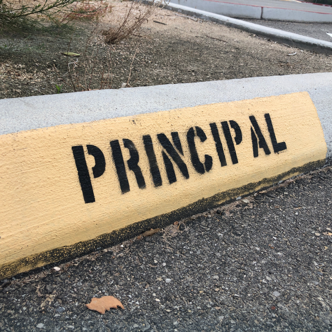 new-principals-undergoing-approval-process