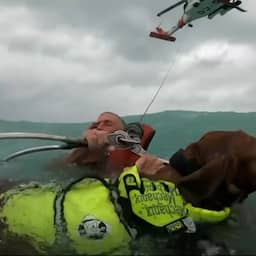 video-|-kustwacht-vs-redt-man-en-hond-van-boot-tijdens-orkaan-helene