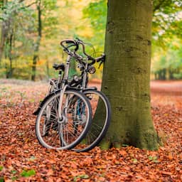 nederland-onverminderd-populair-als-bestemming-voor-de-herfstvakantie