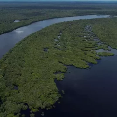 ‘situacion-critica’-en-afluentes-del-rio-amazonas-por-sequia-en-brasil