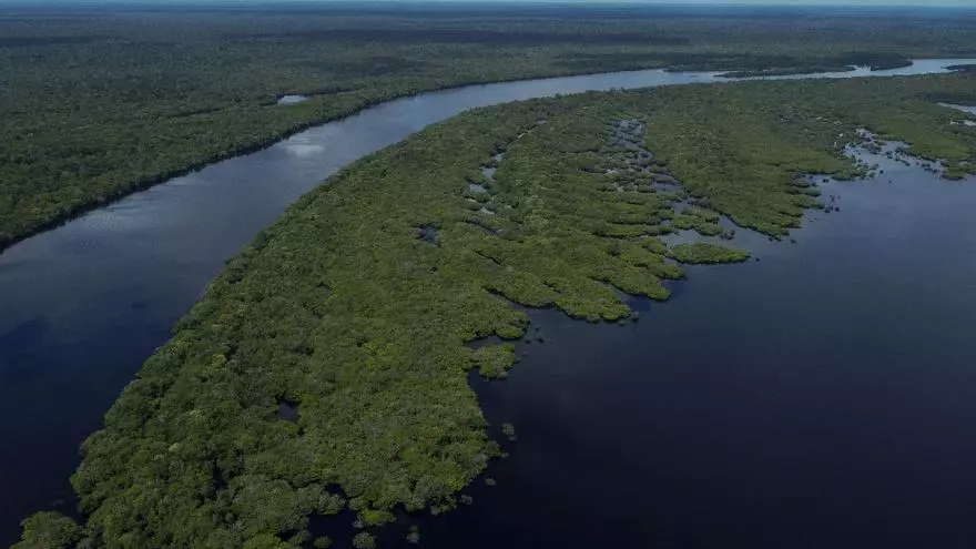 ‘situacion-critica’-en-afluentes-del-rio-amazonas-por-sequia-en-brasil