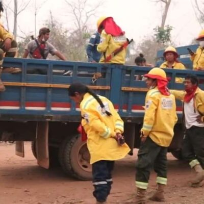 el-fuego-arrasa-monte-verde:-mas-de-650.000-hectareas-ya-fueron-consumidas-por-las-llamas