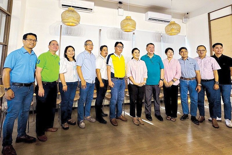 leni-bares-naga-city-mayoral-bid