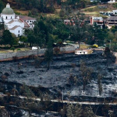 la-reforestacion-tras-los-incendios-en-quito-sera-paso-a-paso