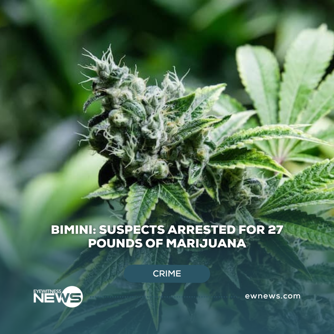 bimini:-suspects-arrested-following-suspected-marijuana-discovery