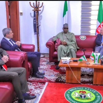 flood:-swiss-govt-donates-1.2m-euros-to-support-borno-victims